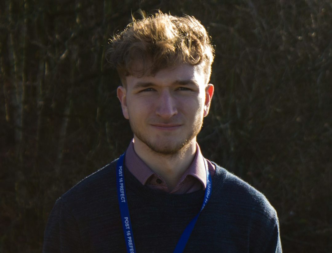 man in blue sweater standing near trees during daytime